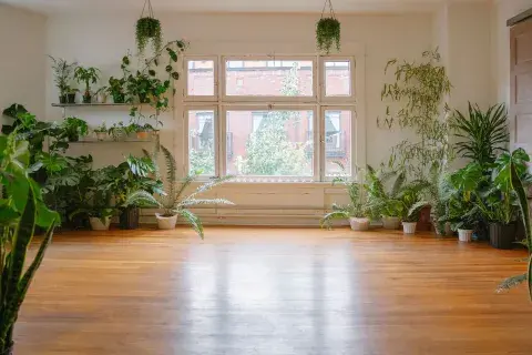 La naturaleza tiene un secreto que los amantes de la jardinería ya intuimos: las plantas no solo embellecen nuestros espacios, también transforman el aire que respiramos.La naturaleza tiene un secreto que los amantes de la jardinería ya intuimos: las plantas no solo embellecen nuestros espacios, también transforman el aire que respiramos.
