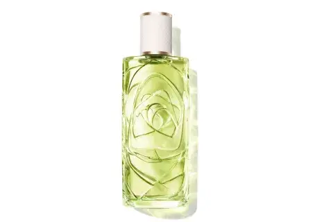 Inspirada en la tranquilidad de una tarde de verano, Ôff Now se ha convertido en la fragancia perfecta para quienes buscan equilibrio y calma, con un aroma que actúa como un refugio sensorial para la mente y el cuerpo. (Lancôme Ôff Now EDT x 100 ML) Inspirada en la tranquilidad de una tarde de verano, Ôff Now se ha convertido en la fragancia perfecta para quienes buscan equilibrio y calma, con un aroma que actúa como un refugio sensorial para la mente y el cuerpo. (Lancôme Ôff Now EDT x 100 ML)