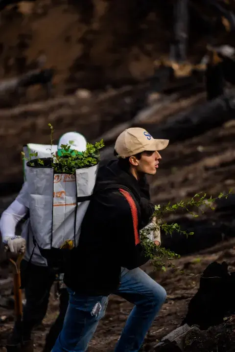 La ONG ReforestArg se ocupa de la restauración ecológica después del fuego: cómo es ese trabajo tan esencial. La ONG ReforestArg se ocupa de la restauración ecológica después del fuego: cómo es ese trabajo tan esencial.