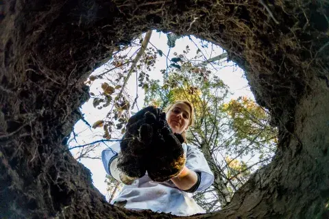 La ONG ReforestArg se ocupa de la restauración ecológica después del fuego: cómo es ese trabajo tan esencial. La ONG ReforestArg se ocupa de la restauración ecológica después del fuego: cómo es ese trabajo tan esencial.