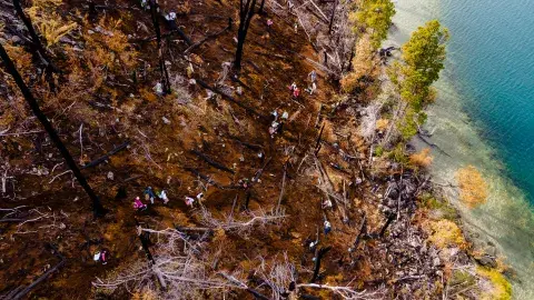 La ONG ReforestArg se ocupa de la restauración ecológica después del fuego: cómo es ese trabajo tan esencial. La ONG ReforestArg se ocupa de la restauración ecológica después del fuego: cómo es ese trabajo tan esencial.