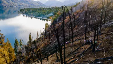 La ONG ReforestArg se ocupa de la restauración ecológica después del fuego: cómo es ese trabajo tan esencial. La ONG ReforestArg se ocupa de la restauración ecológica después del fuego: cómo es ese trabajo tan esencial.