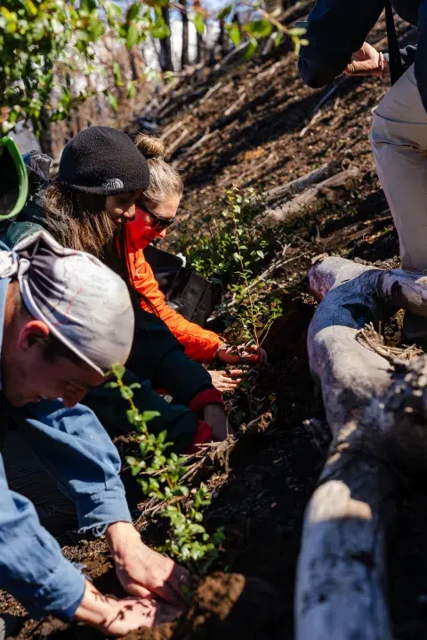 La ONG ReforestArg se ocupa de la restauración ecológica después del fuego: cómo es ese trabajo tan esencial. La ONG ReforestArg se ocupa de la restauración ecológica después del fuego: cómo es ese trabajo tan esencial.