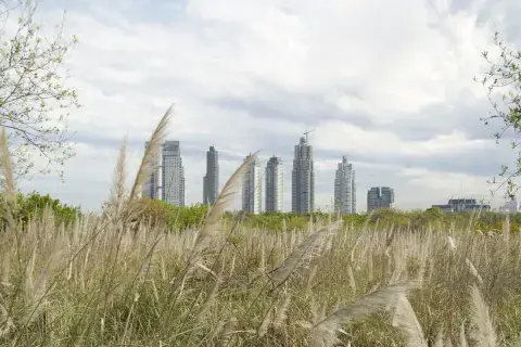 Entre Puerto Madero y el Río de la Plata se encuentra la primer Área Natural Protegida de la Ciudad de Buenos Aires Entre Puerto Madero y el Río de la Plata se encuentra la primer Área Natural Protegida de la Ciudad de Buenos Aires