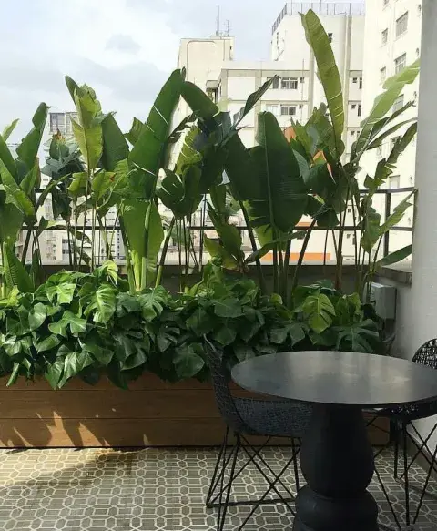 Foto de balcón con plantas altas. Foto de balcón con plantas altas.