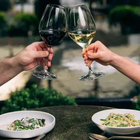 brindis con vino brindis con vino
