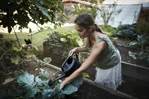 Foto de huerta. Foto de huerta.