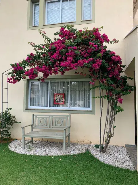 Patios con flores: 5 ideas para llenar tu casa de color Patios con flores: 5 ideas para llenar tu casa de color