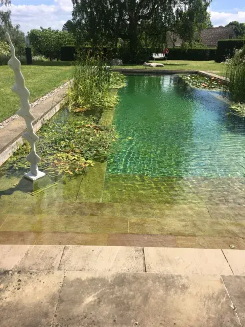 Biopiletas: el diseño inteligente que reemplaza las piscinas tradicionales. Biopiletas: el diseño inteligente que reemplaza las piscinas tradicionales.