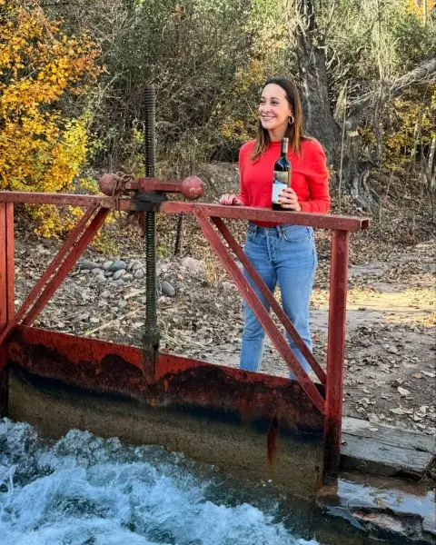 Amanda Bandini, una nueva generación de mujeres que saben de vinos y lideran el sector Amanda Bandini, una nueva generación de mujeres que saben de vinos y lideran el sector