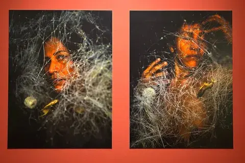 Todas las fotos se tomaron con dispositivos celulares.