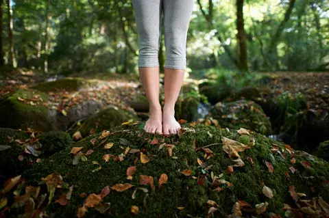 mujer pisa el bosque mujer pisa el bosque