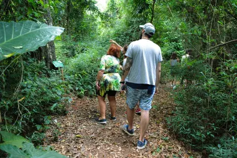 Sendero ecológico en Iguazú: Sendero ecológico en Iguazú: