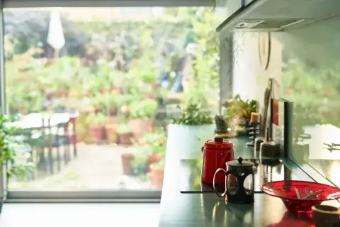 Cómo hacer que tu cocina huela bien todo el tiempo: los trucos fáciles y económicos Cómo hacer que tu cocina huela bien todo el tiempo: los trucos fáciles y económicos