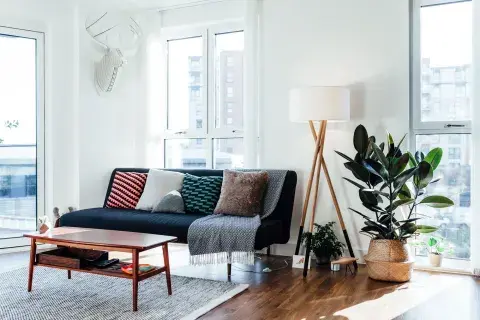 En otoño, cuando los ambientes se vuelven más íntimos, esta planta acompaña mejor la búsqueda de calidez.