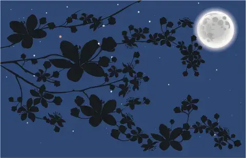Cómo aprovechar la energía de la Luna de las flores. Cómo aprovechar la energía de la Luna de las flores.