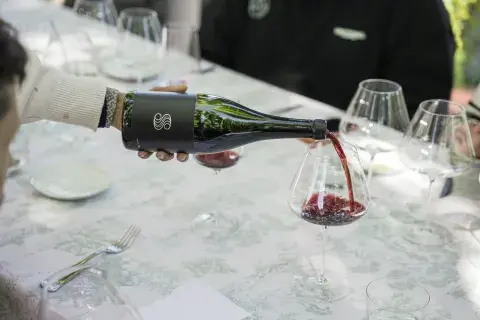 vino