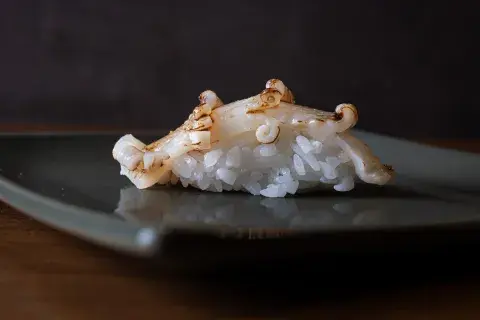 sushi sushi
