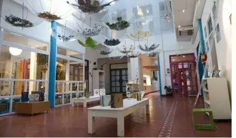 escuelas-reggio-(4).jpg