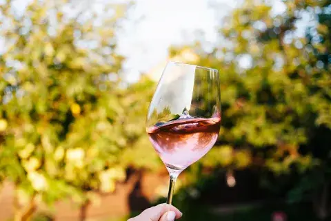 rosado-vino-(2).jpg rosado-vino-(2).jpg