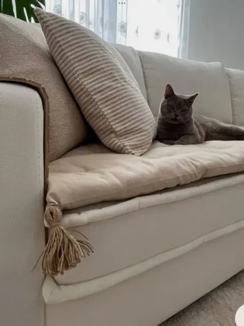 Pillow Pillow