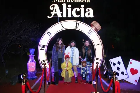 Maravillosa alicia Maravillosa alicia