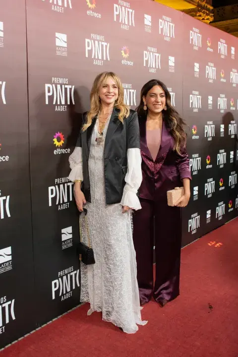 Looks Premios Pinti 2026.