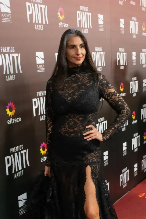 Looks Premios Pinti 2026.