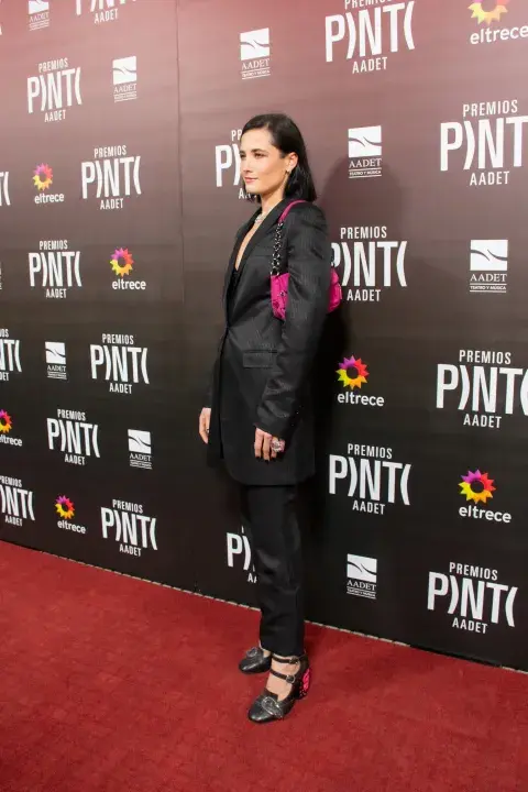 Looks Premios Pinti 2026.