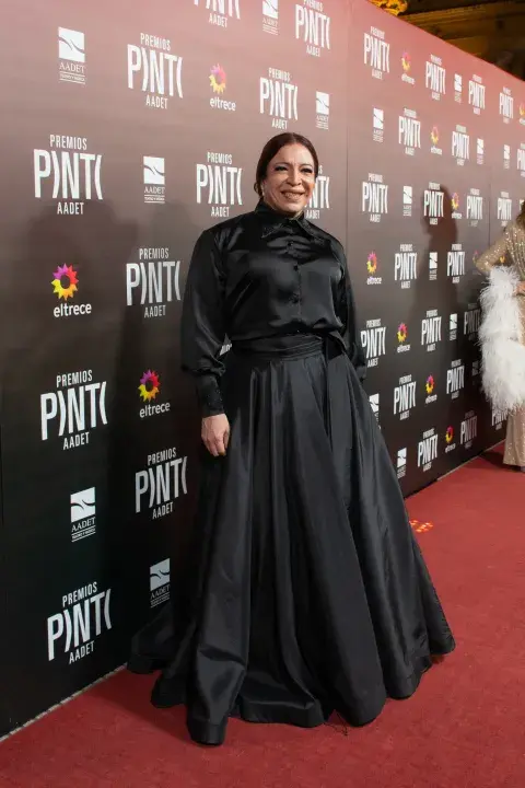 Looks Premios Pinti 2026.