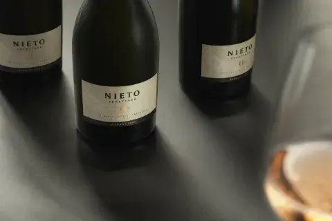 champagne cero alcohol champagne cero alcohol