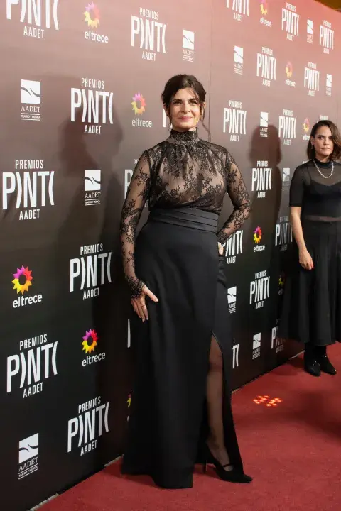 Looks Premios Pinti 2026.