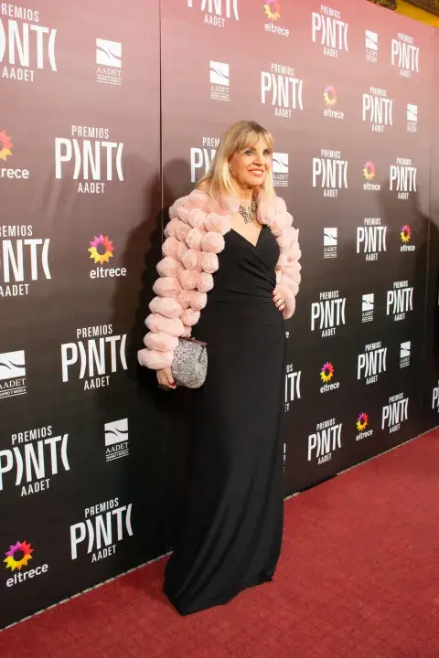 Looks Premios Pinti 2026.