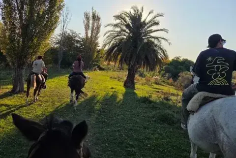 día de campo regalo día del amigo día de campo regalo día del amigo