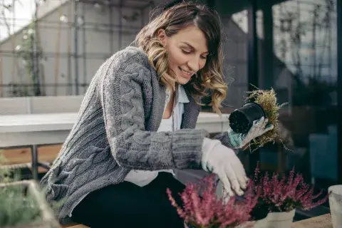 Sin ser experto: los errores más comunes que cometen las personas con las plantas en invierno Sin ser experto: los errores más comunes que cometen las personas con las plantas en invierno