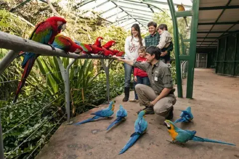 vacaciones de invierno en parques de buenos aires vacaciones de invierno en parques de buenos aires