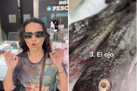 paulina cocina enseña a elegir el pescado paulina cocina enseña a elegir el pescado
