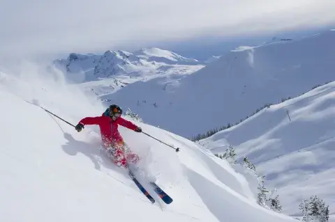 mujer esquiando nieve