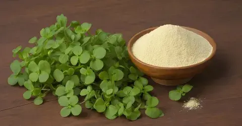 brahmi brahmi