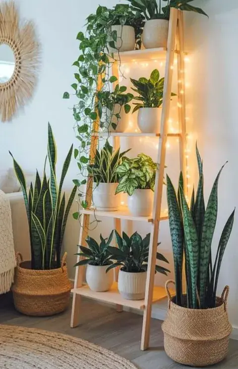 Plantas en un monoambiente en escalera decorativa