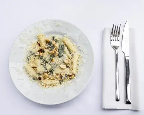 plato de pasta plato de pasta