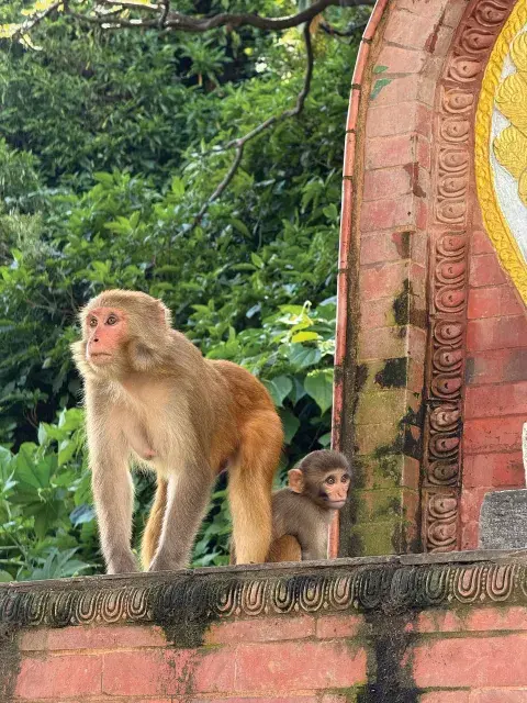 Viaje a Nepal para OHLALÁ! Viaje a Nepal para OHLALÁ!
