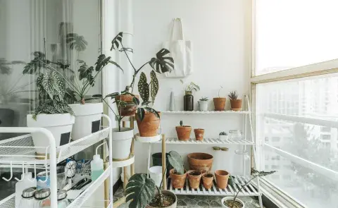 Foto de balcón con plantas. Foto de balcón con plantas.