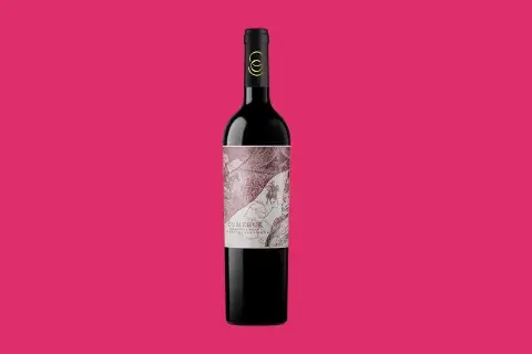 dia del bonarda vino dia del bonarda vino
