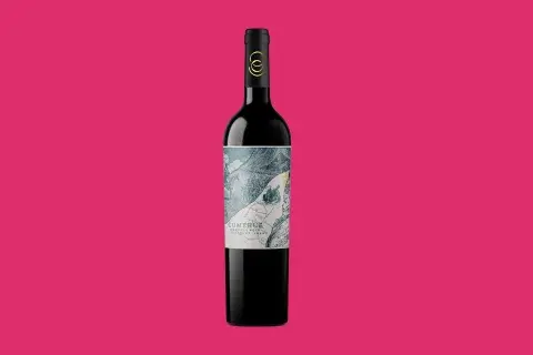 dia del bonarda vino dia del bonarda vino