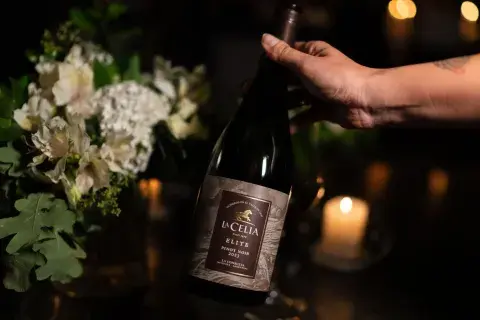 vino pinot noir vino pinot noir