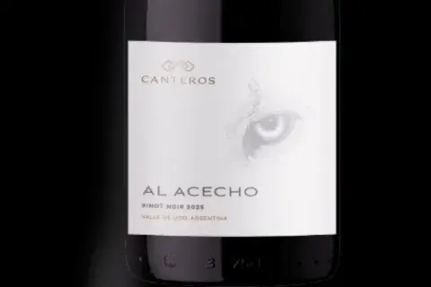 vino pinot noir vino pinot noir