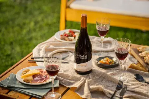 vino pinot noir vino pinot noir