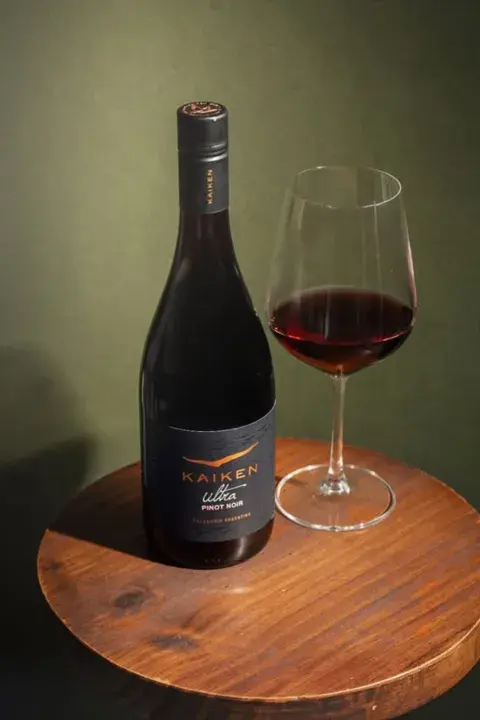 vino pinot noir vino pinot noir