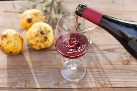 vino pinot noir vino pinot noir